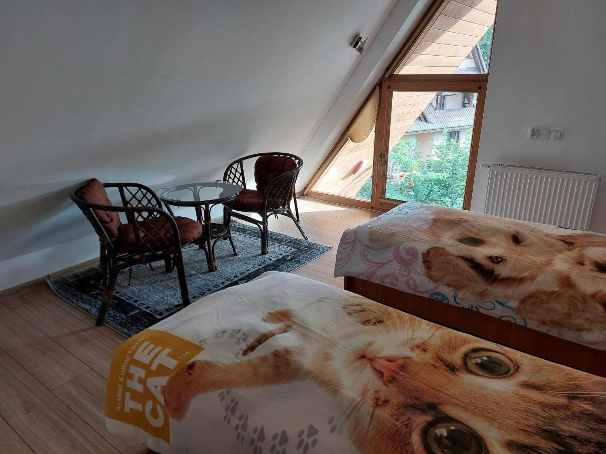 Apartamenty Cede Zakopane Exterior photo